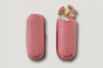 Imagen de portada del libro Gordo de Feria, de Esther García Llovet. Son bizcochos panteras rosa, y una metáfora de las pastillas