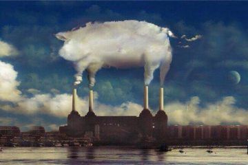 Recreación Animals de PInk Floyd. Alimentación y cerdo halal