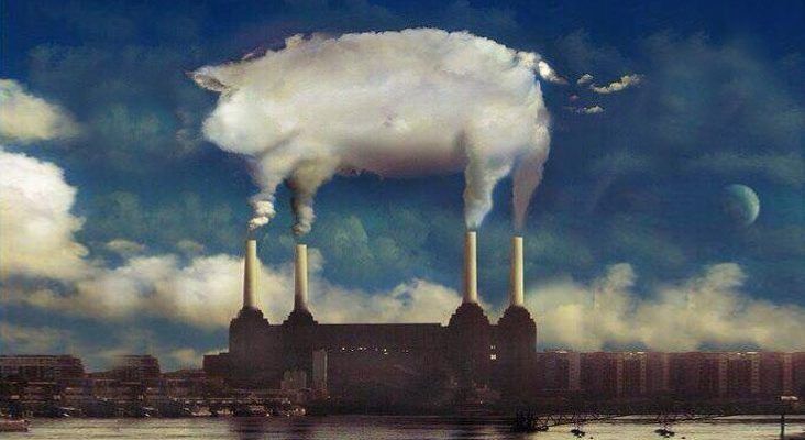 Recreación Animals de PInk Floyd. Alimentación y cerdo halal