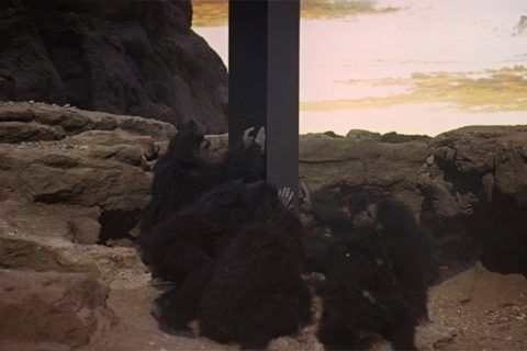 Fotograma: Los hominidos y el monolito de 2001: una odisea en el espacio de Stanley Kubrick.
