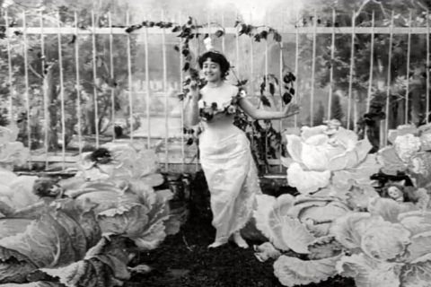 Fotograma de El hada de las coles (1896), un de las piezas más emblemáticas de Guy. Cultugrafía, difusión y crítica cultural