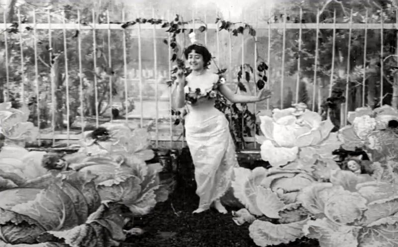 Fotograma de El hada de las coles (1896), un de las piezas más emblemáticas de Guy. Cultugrafía, difusión y crítica cultural