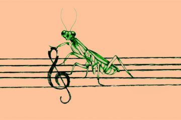 Una mantis religiosa sujeta en un pentagrama y comiéndose una clave de sol. Portada de David Surti (2021). Análisis y crítica musical.