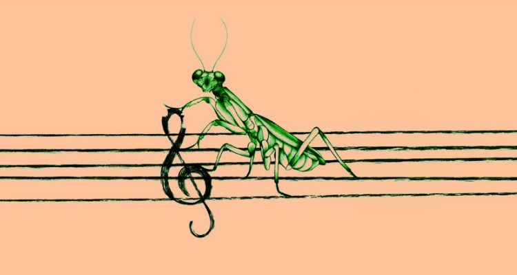 Una mantis religiosa sujeta en un pentagrama y comiéndose una clave de sol. Portada de David Surti (2021). Análisis y crítica musical.