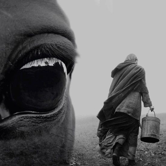 Con el mismo estilo formal que utiliza en Sátántangó, y una temática también con trasfondo apocalíptico, Béla Tarr realiza en 2011 la que ha afirmado que será su última película, El caballo de Turín (2011).