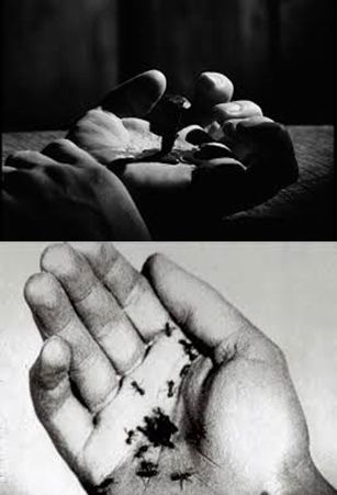En la primera imagen, un fotograma del prólogo de Persona, en el que se representa una crucifixión, y en la segunda, un fotograma de Un perro andaluz (1929), de Luis Buñuel y Salvador Dalí, en la que se observa la bizarra formación de un hormiguero en una mano. Ambas imágenes resultan igualmente impactantes y pueden resultar violentas o repulsivas para el espectador.
