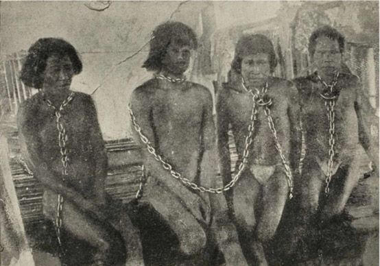 La imagen muestra a los indígenas esclavizados durante la fiebre del caucho. Fuente: Resumen latinoamericano (2024). 
